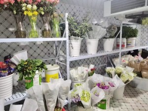 江西·宜春60立方鮮花保鮮庫
