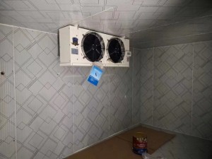 上?！ぜ味?0立方啤酒冷庫(0-5度）