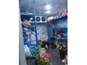 上海·嘉定30立方鮮花保鮮冷庫