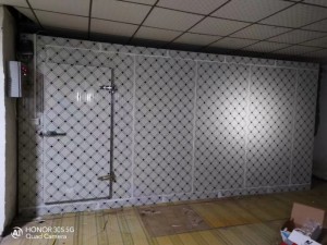 江西·萍鄉160立方速凍庫