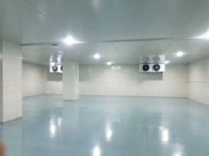 上海·嘉定350立方冷凍庫